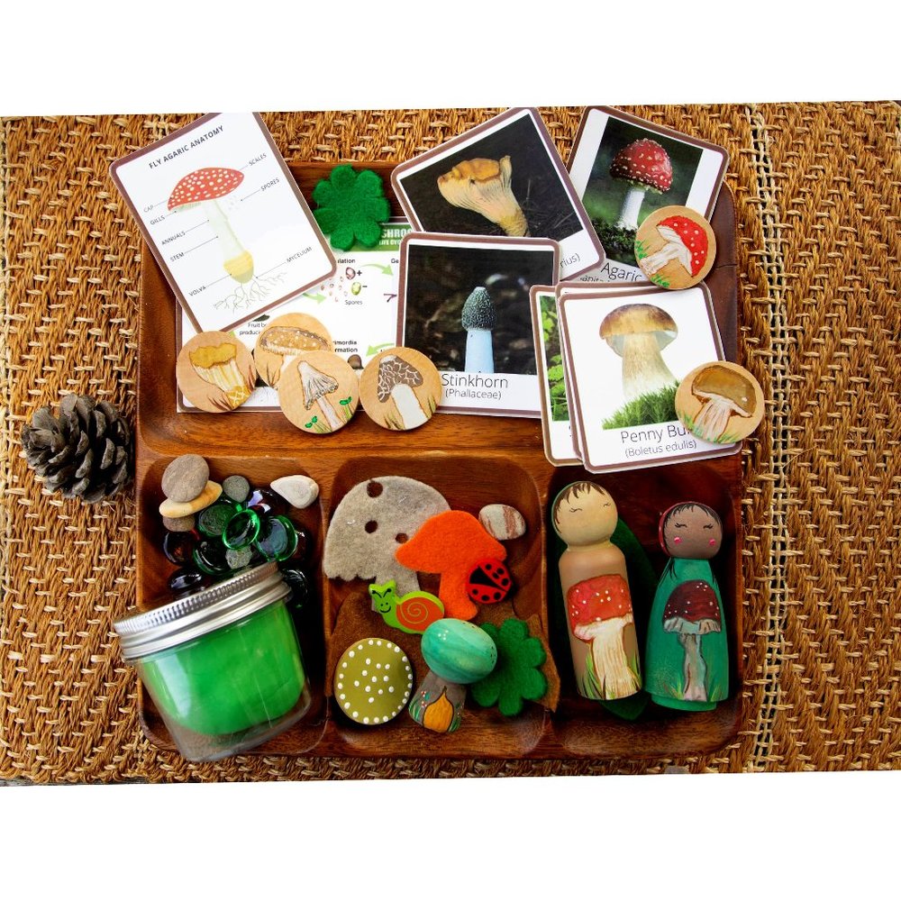 Montessori Mushroom Life Cycle, Waldorf, Preschool